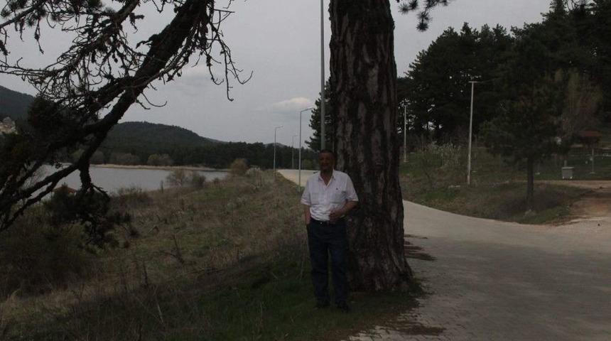 Bin 450 Rakımlı Gölcük Yaylası Ziyaretçilerini Bekliyor