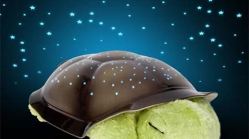 Yıldızlı Kaplumbağa