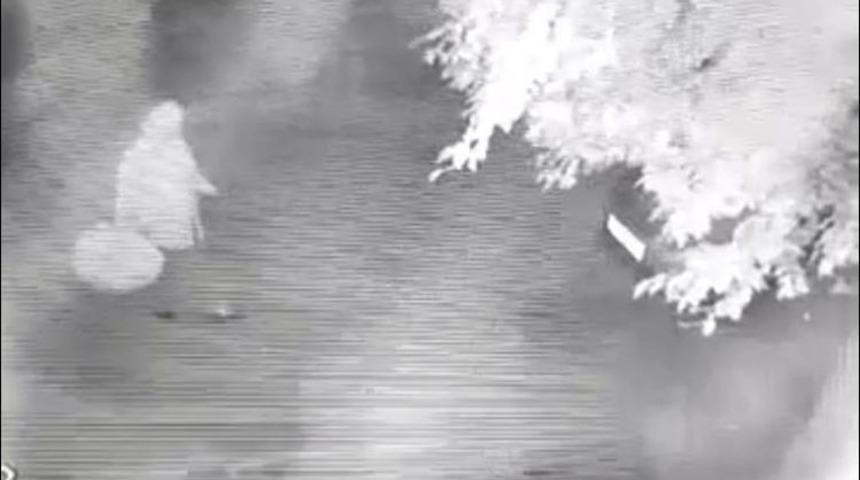 &Ccedil;i&ccedil;ek Hırsızı Yaşlı Kadın G&uuml;venlik Kamerasına Yakalandı