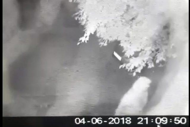 Çiçek Hırsızı Yaşlı Kadın Güvenlik Kamerasına Yakalandı