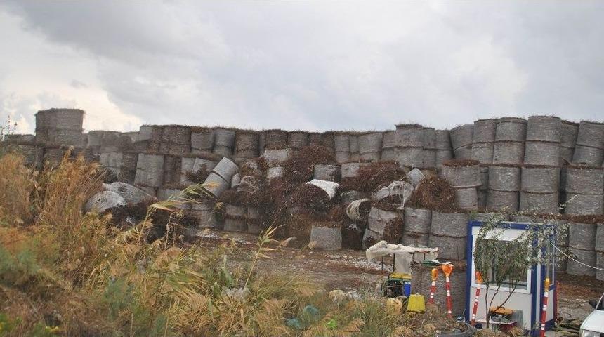 &Ccedil;ift&ccedil;ilerin Derdi, Enerjiye D&ouml;n&uuml;yor