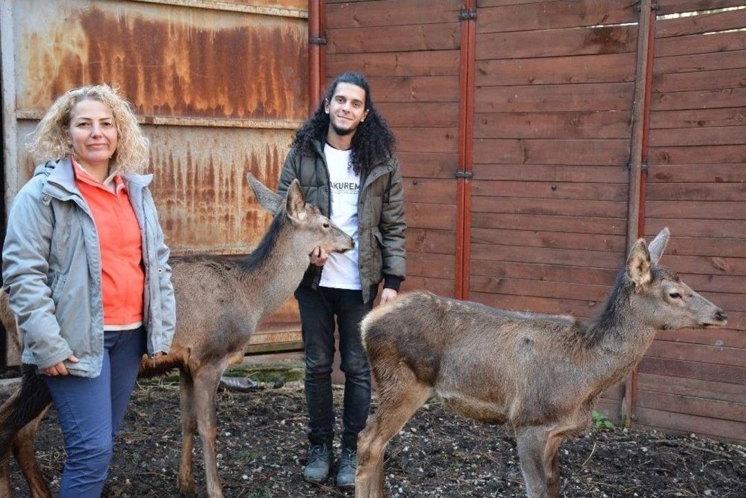 (&ouml;zel Haber) Umay Ve Midas Doğal Hayatlarına Kavuştu