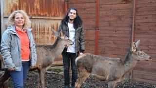 (özel Haber) Umay Ve Midas Doğal Hayatlarına Kavuştu