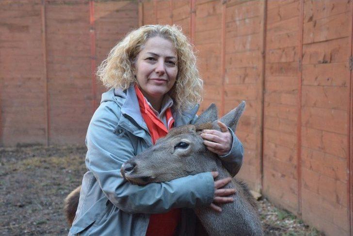 (özel Haber) Umay Ve Midas Doğal Hayatlarına Kavuştu G3