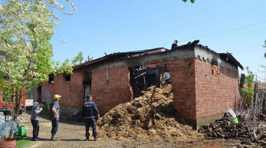 Yangında 11 B&uuml;y&uuml;kbaş Hayvan Telef Oldu