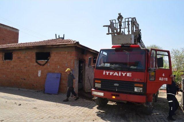 Yangında 11 Büyükbaş Hayvan Telef Oldu