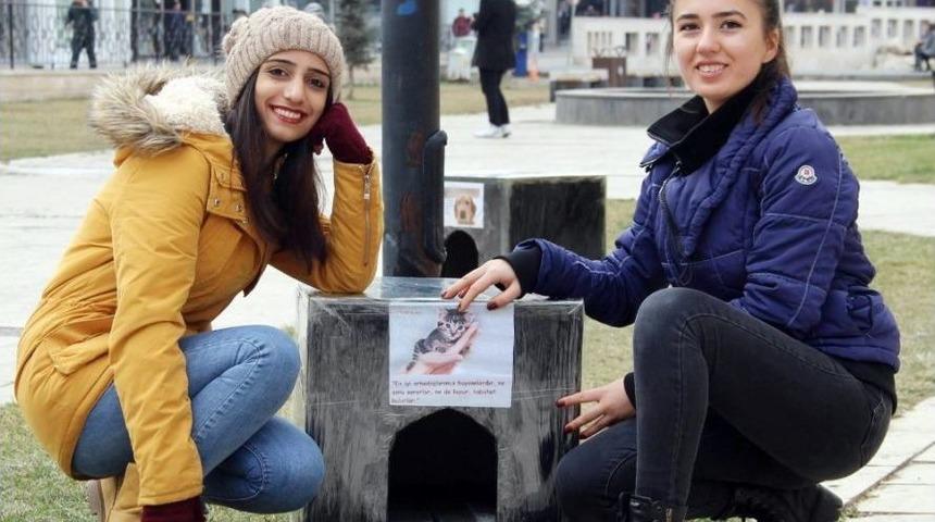 &Ouml;ğrencilerden Har&ccedil;lıklarıyla Sokak Hayvanlarına Sıcak Yuva