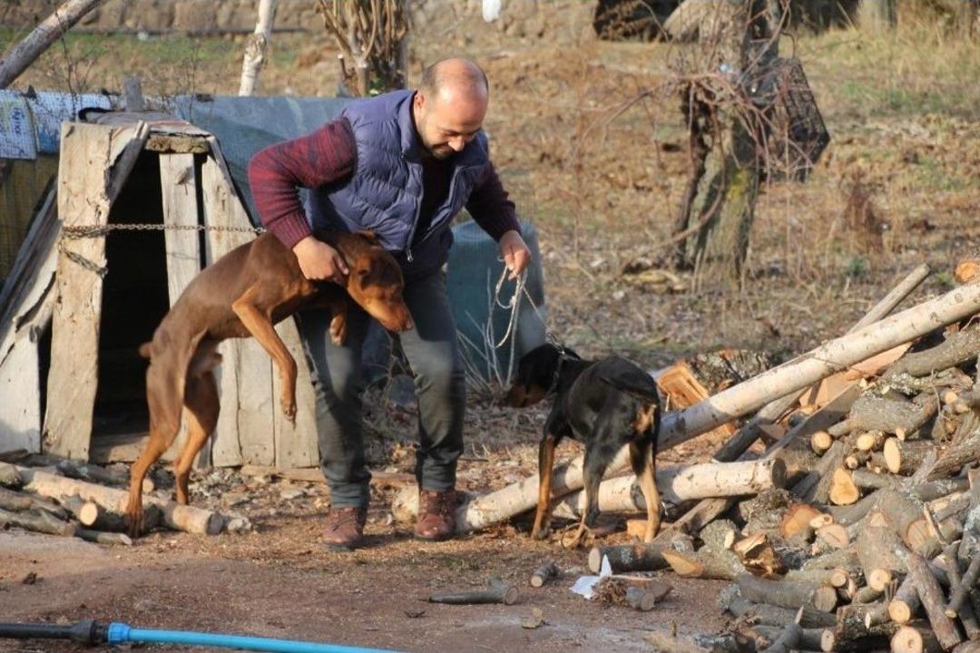 Sahibinin &Ccedil;alındığını İddia Ettiği K&ouml;pek Jandarma Tarafından Bulundu