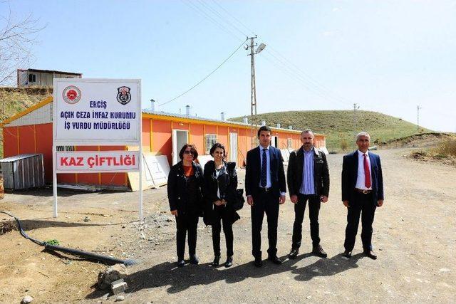 Yyü İle Erciş Açık Ceza İnfaz Kurumu Arasında İşbirliği Protokolü