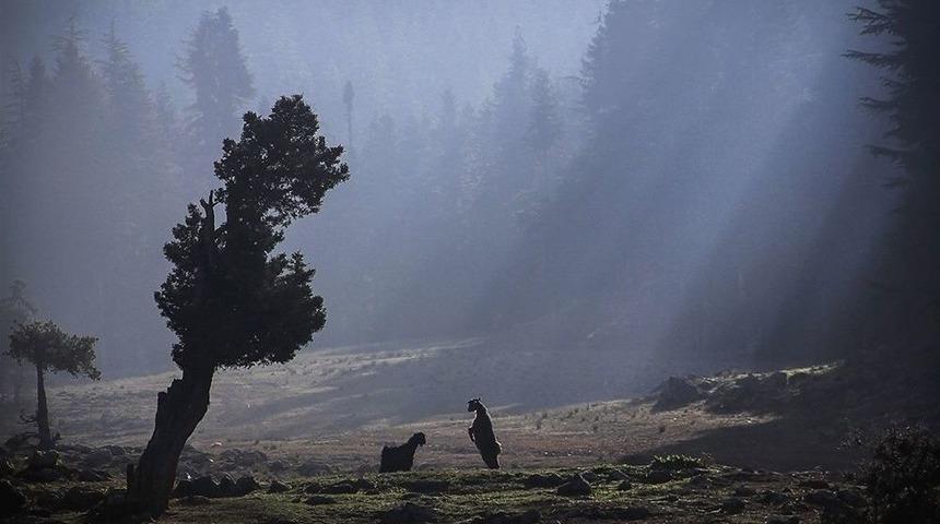 Arka Plandaki Adana Sergisi A&ccedil;ıldı