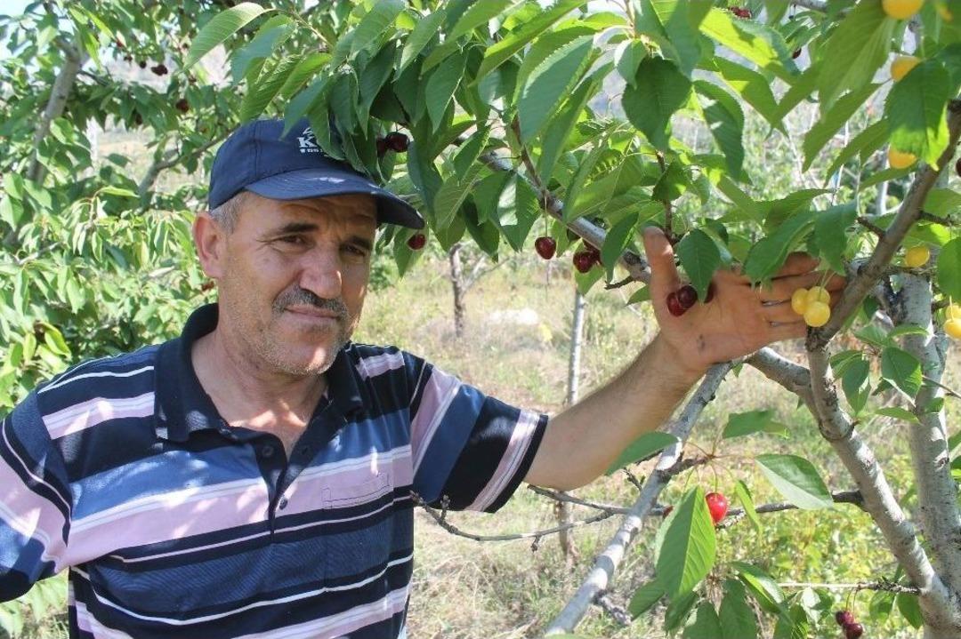 Bir Dalda İki Kiraz &rsquo;biri Al Biri Beyaz&rsquo;