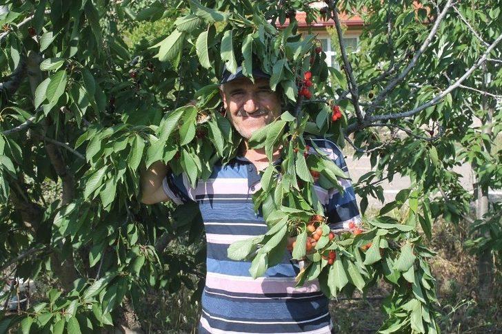 Bir Dalda İki Kiraz ’biri Al Biri Beyaz’ G2