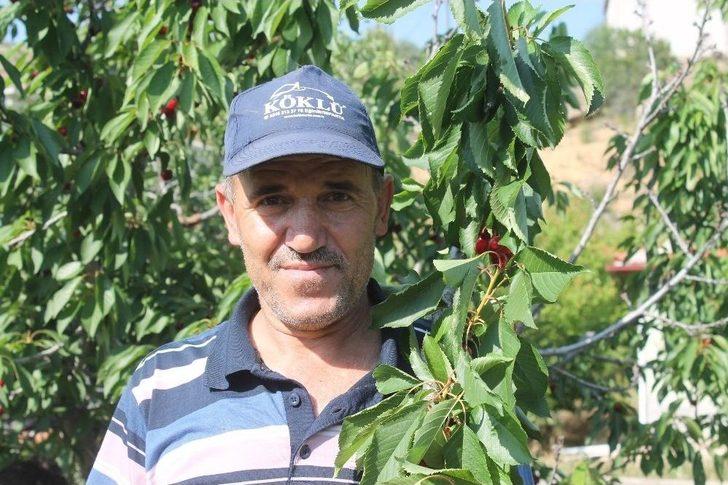 Bir Dalda İki Kiraz ’biri Al Biri Beyaz’ G3