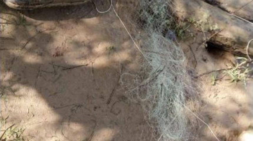 Osmaneli &lsquo;de Ka&ccedil;ak Avlanan 3 Balık&ccedil;ıya Para Cezası