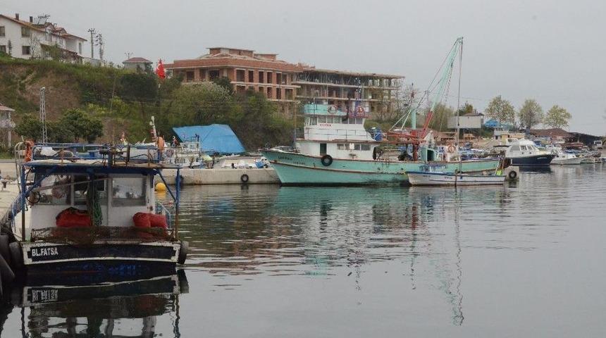 Ordulu Balık&ccedil;ılar Sezondan Umduğunu Bulamadı