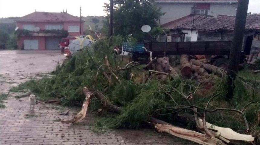 Hortum Mağdurlarına Yardım Eli