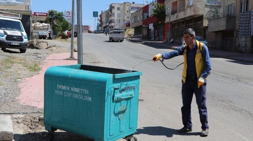 Siirt Belediyesinden İla&ccedil;lama &Ccedil;alışmaları