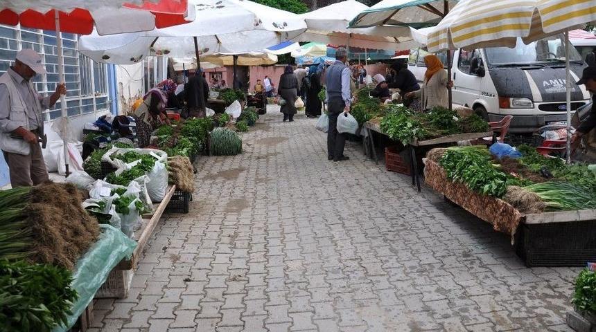 Organik Fide Pazarına Yoğun İlgi