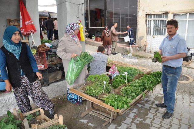 Organik Fide Pazarına Yoğun İlgi