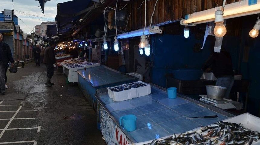 Hamsi&rsquo;nin Ateşi D&uuml;şm&uuml;yor