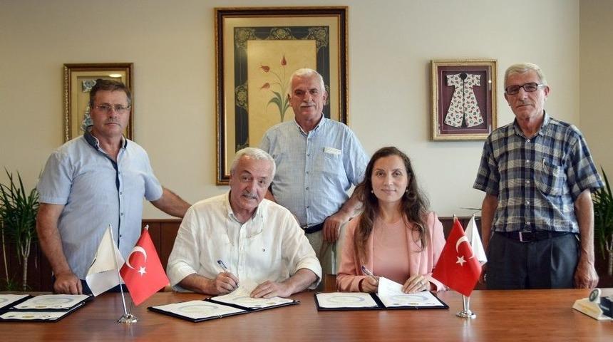 D&uuml;zceli Arıcılar Bilin&ccedil;li &Uuml;retime Y&ouml;nlendiriyor