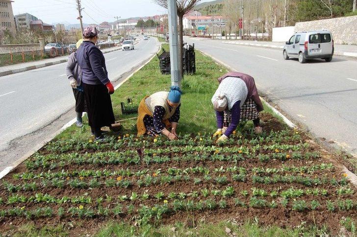 (özel Haber) Bitlis, Ahıskalı Kadınların Eliyle Güzelleşiyor G2