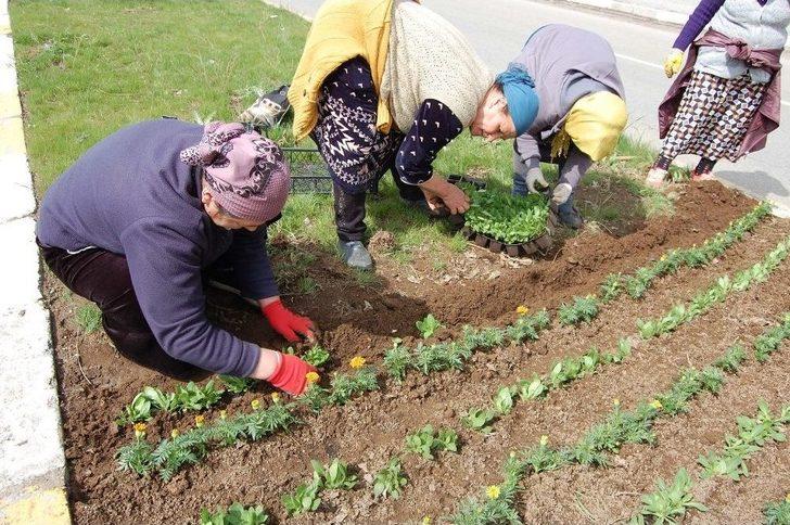 (özel Haber) Bitlis, Ahıskalı Kadınların Eliyle Güzelleşiyor G3
