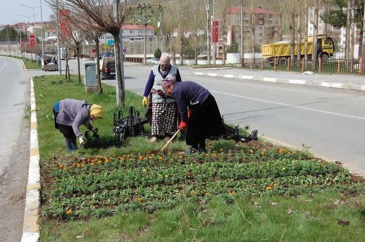(özel Haber) Bitlis, Ahıskalı Kadınların Eliyle Güzelleşiyor G4