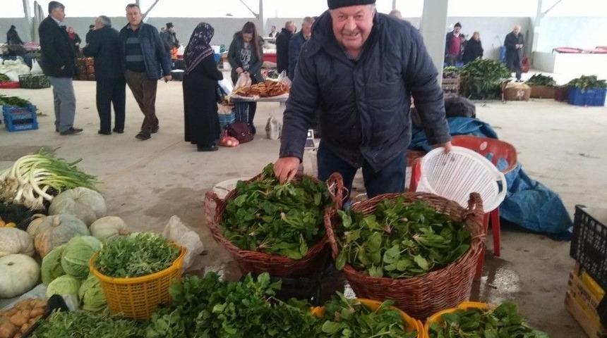 45 Yıldır Ekmeğini Topraktan Kazanıyor