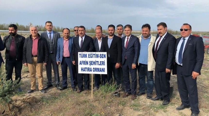 Afrin Şehitleri İ&ccedil;in Fidan Dikildi