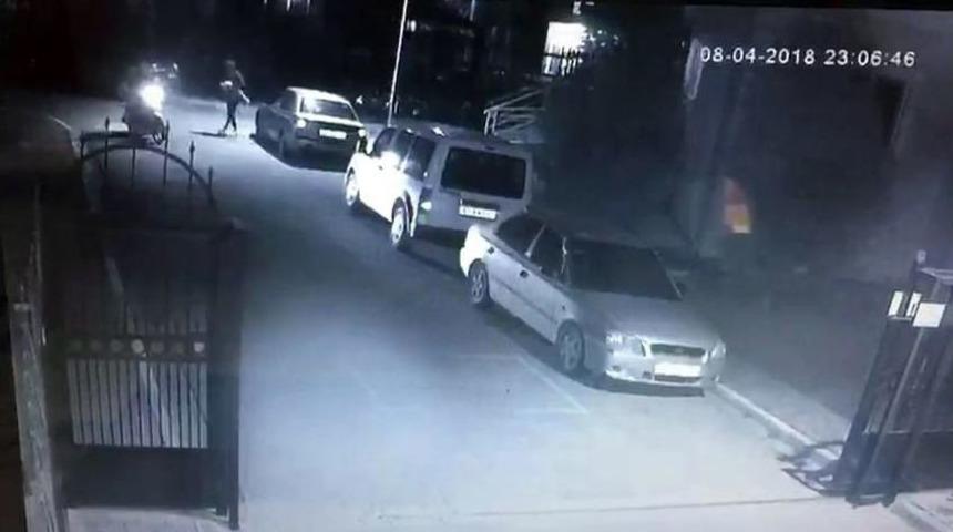 Sakarya&rsquo;da İran Cinsi Kedi Kimliği Belirsiz Kişi Tarafından &Ccedil;alındı