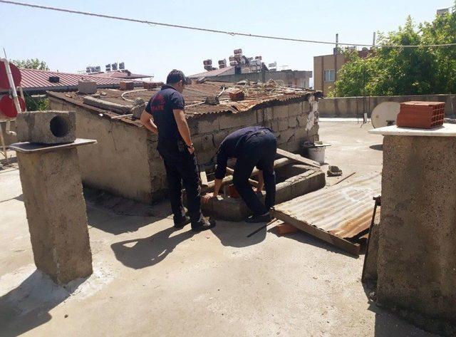 Yavru Kediyi İki Günlük Esaretinden İtfaiye Kurtardı