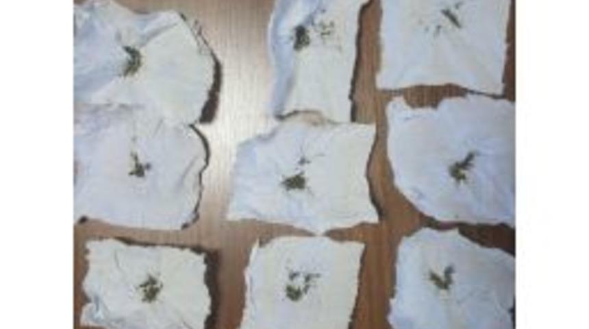 Kütahya’da Uyuşturucu Operasyonu