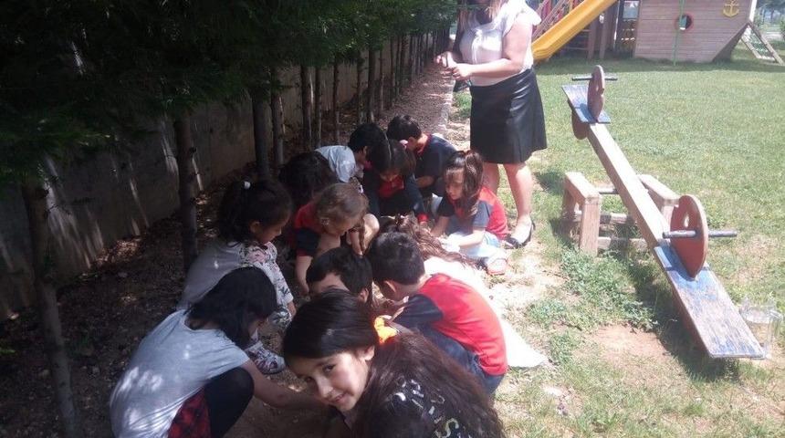 Ted Kolejinde Tohum Dikme Etkinliği