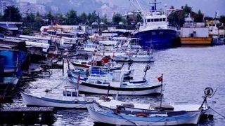 Denizlerde Av Yasağı Başlıyor