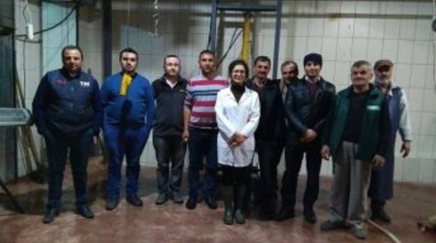 Daday&rsquo;da Kasaplık Kursuna Yoğun İlgi