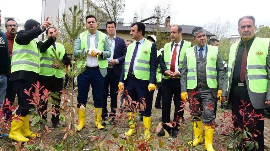 İpekyolu&rsquo;nda Fidan Dikim Şenliği