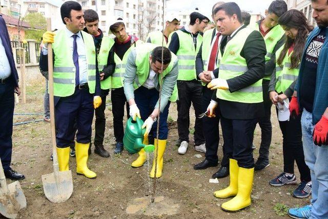 İpekyolu’nda Fidan Dikim Şenliği