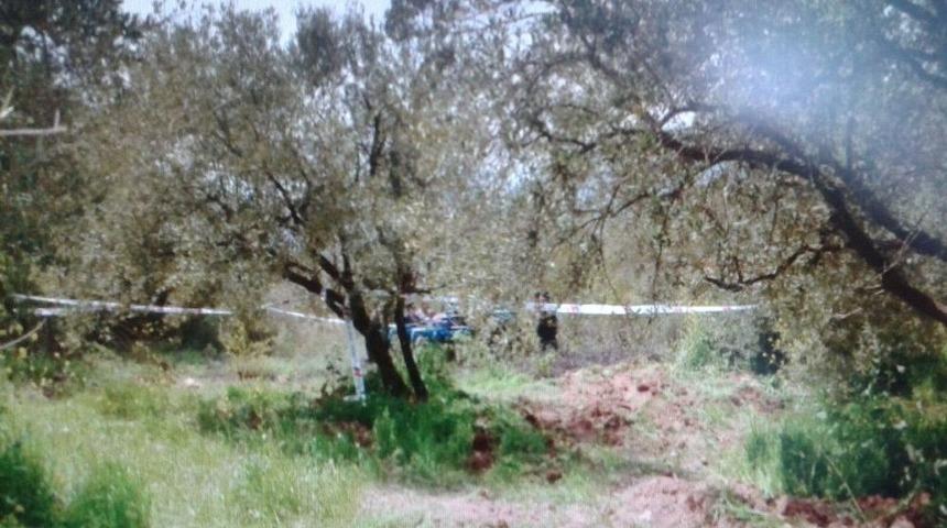 Ağacın Dalı Hayatına Mal Oldu