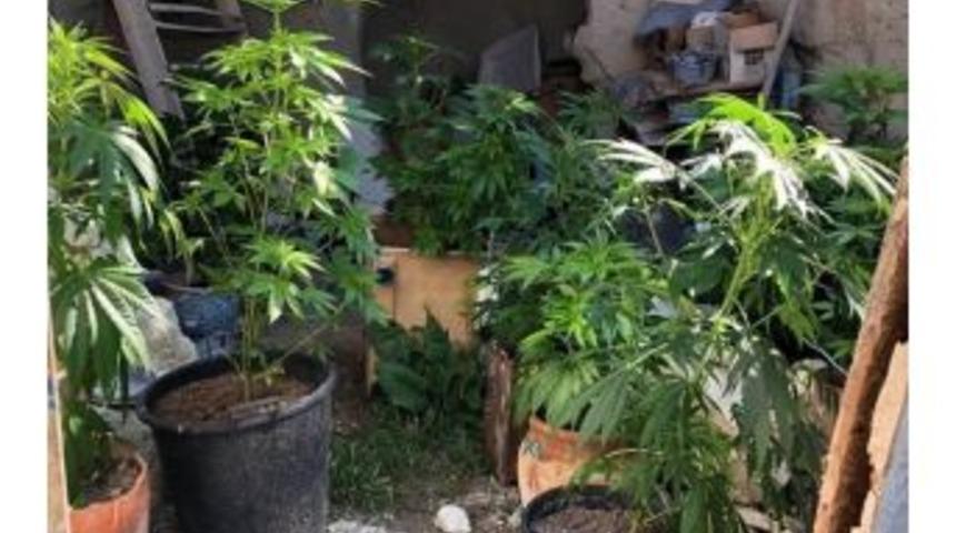 &Uuml;rg&uuml;p&rsquo;te 17 K&ouml;k Hint Keneviri Ele Ge&ccedil;irildi