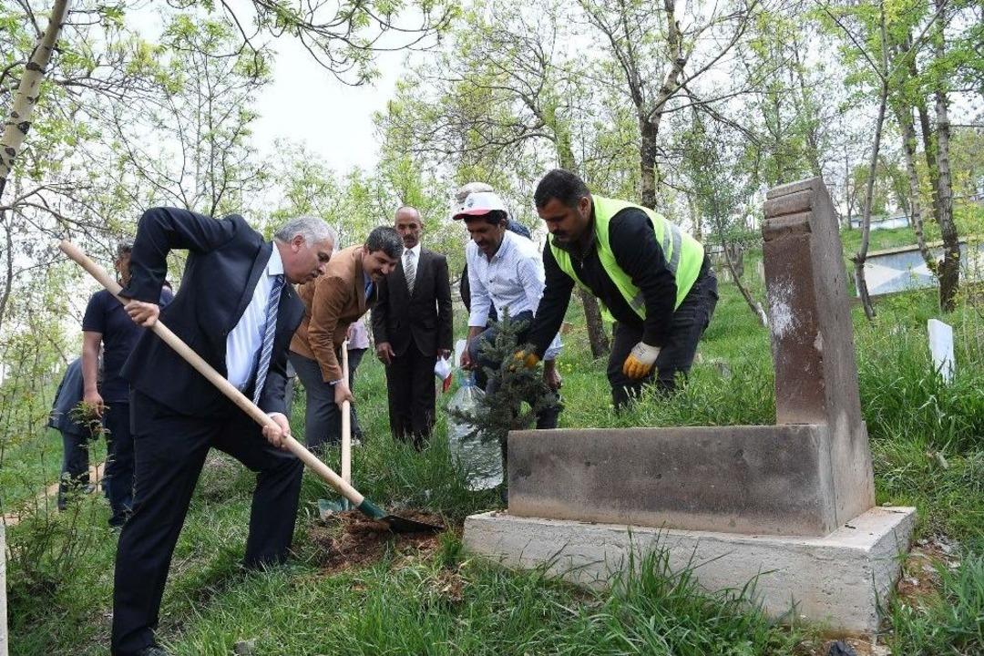 Muş Belediyesinden Yeşillendirme &Ccedil;alışması