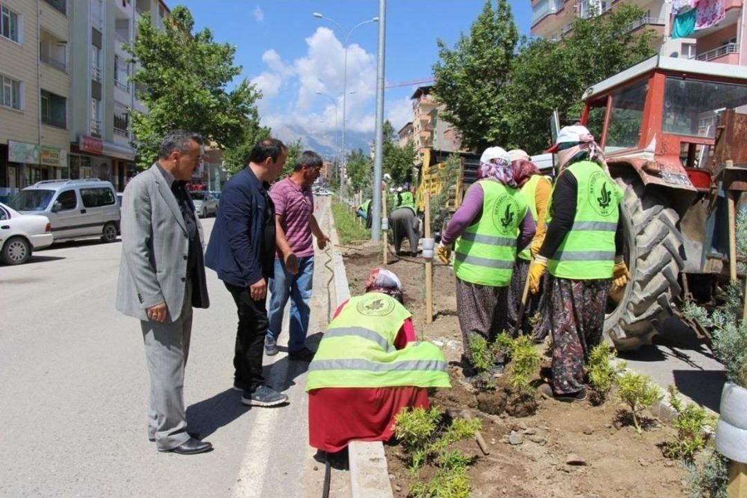 Başkan Tutal, Kaldırım Ve Peyzaj D&uuml;zenleme &Ccedil;alışmalarını İnceledi