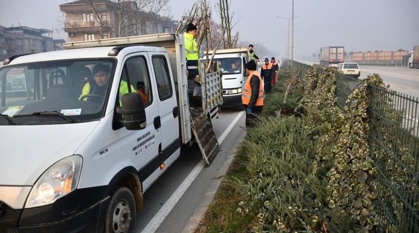 Bursa-ankara Yolu Ağa&ccedil;landırıldı