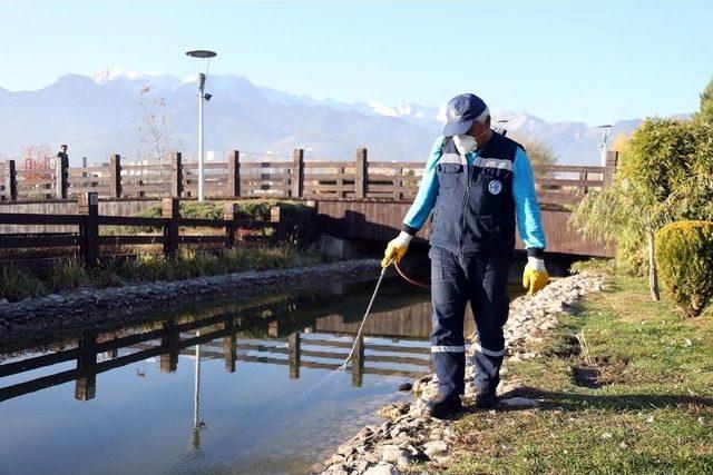 Merkezefendi’de İlaçlama Çalışmaları Devam Ediyor