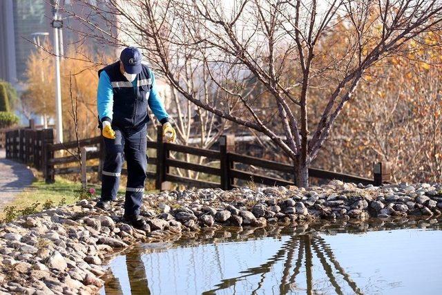 Merkezefendi’de İlaçlama Çalışmaları Devam Ediyor