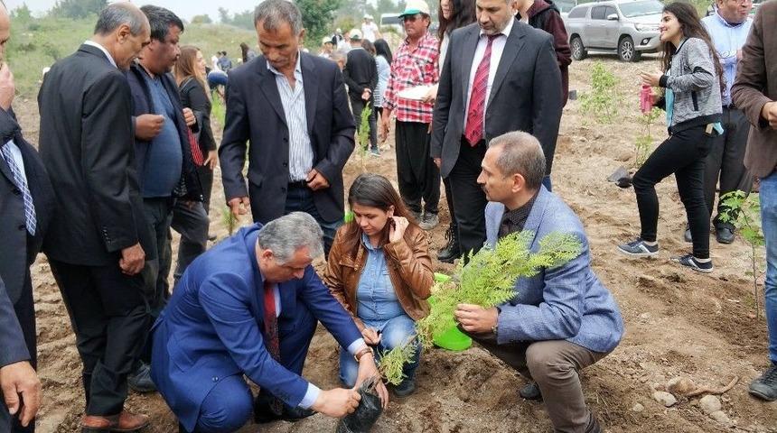 Erdemli&rsquo;de Şehitler Anısına Fidan Dikildi