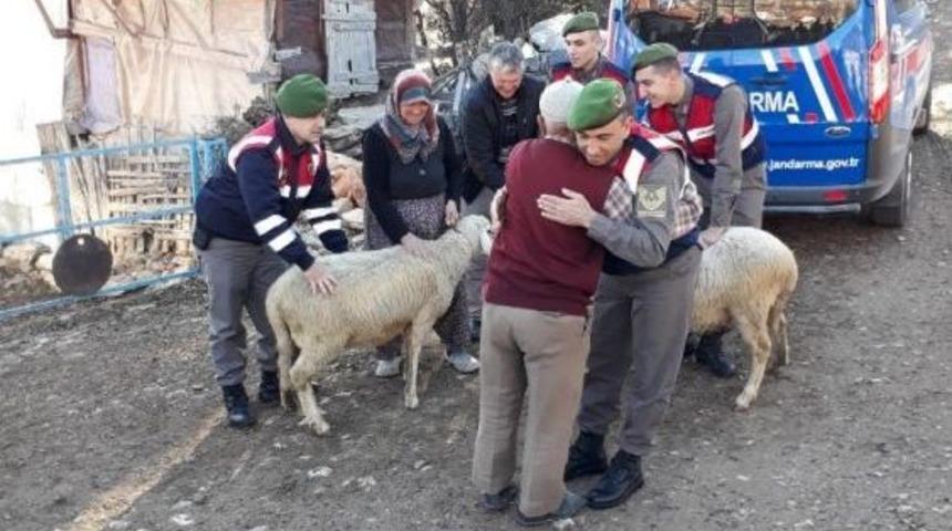 Yaşlı Adamın Hayvanlarına Kavuşma Mutluluğu