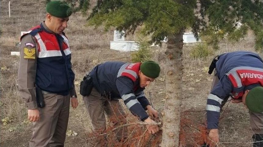Sungurlu Huzur Operasyonu