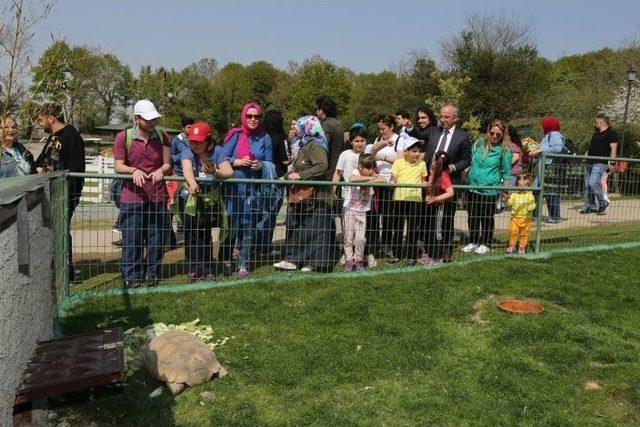 Beykoz Kent Konseyi &Ouml;zel &Ccedil;ocuklarla Doğal Yaşam Parkı&rsquo;nda 2