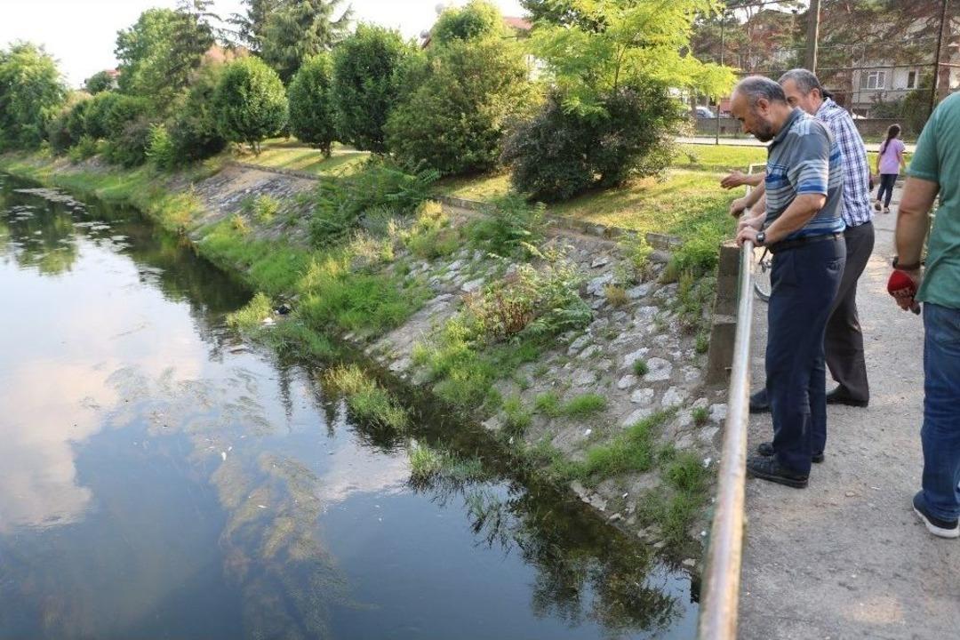 Deredeki Balık &Ouml;l&uuml;mlerine Vatandaşlardan Tepki